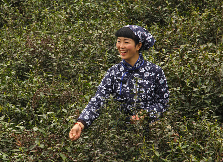 芒果tv直播app banner